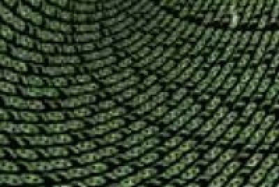 data